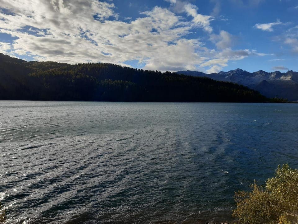 Lake view