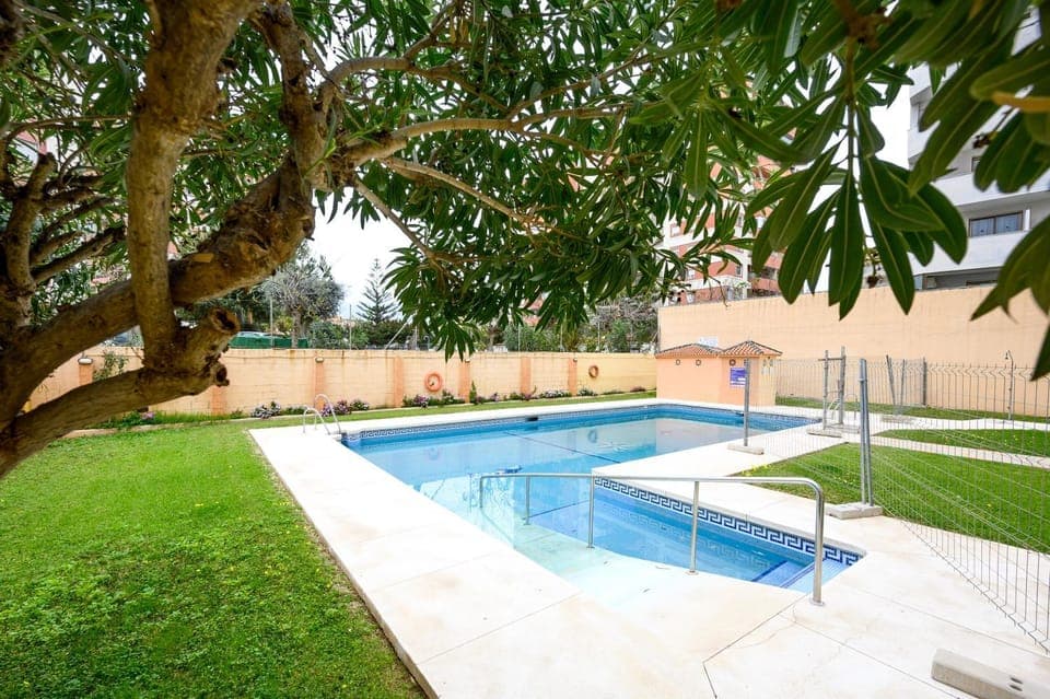 Day, Garden, Swimming pool