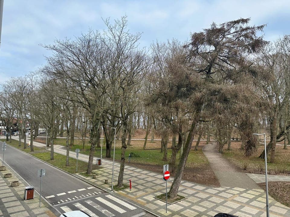 Day, Neighbourhood, Natural landscape