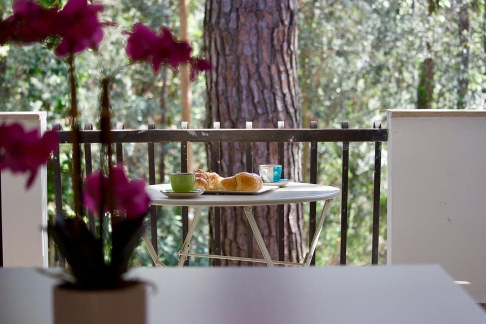 Patio, Patio, Balcony/Terrace, Balcony/Terrace