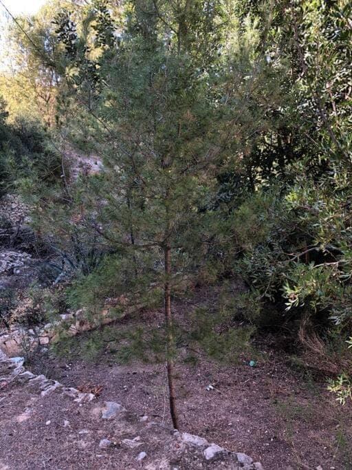 Day, Natural landscape