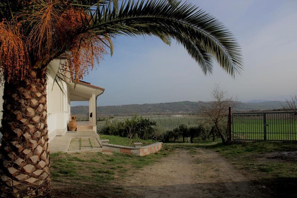 Property building, Natural landscape, Garden, Mountain view