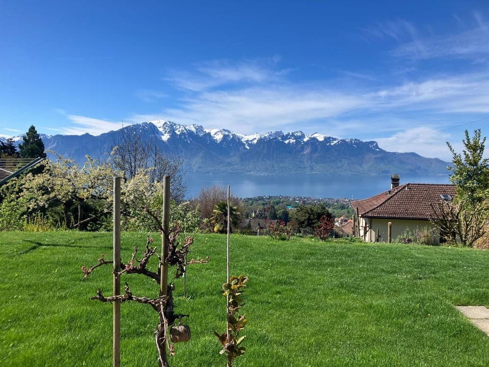 Spring, Day, Natural landscape, Garden, Garden view, Lake view, Mountain view