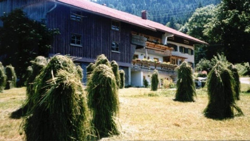 Property building, Natural landscape