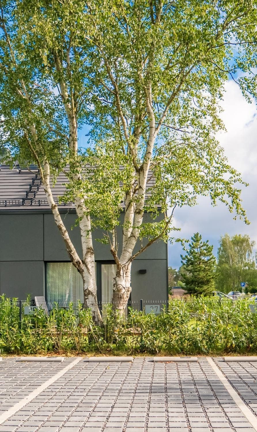 Property building, Natural landscape