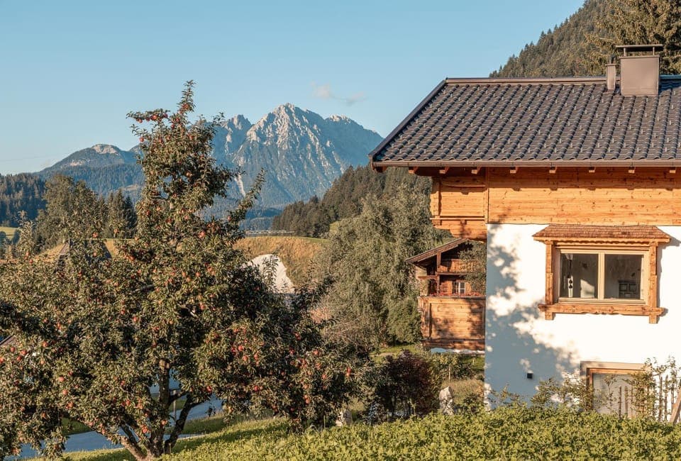 Property building, Neighbourhood, Natural landscape, Summer, Mountain view