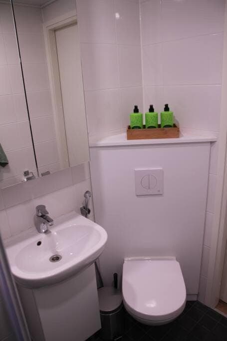 Kodikas hyvin varusteltu yksiö, autopaikalla Apartment in Helsinki