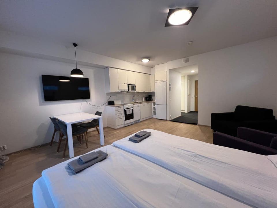 Saunallinen keskustayksiö ja ilmainen yksityinen parkkipaikka Apartment in Turku