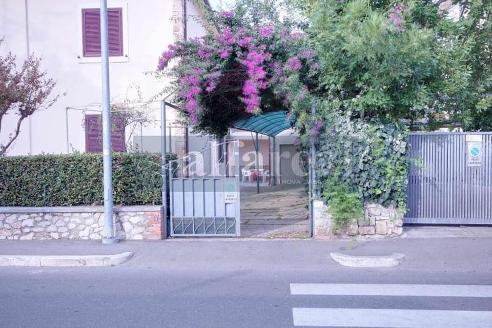 Neighbourhood, Street view