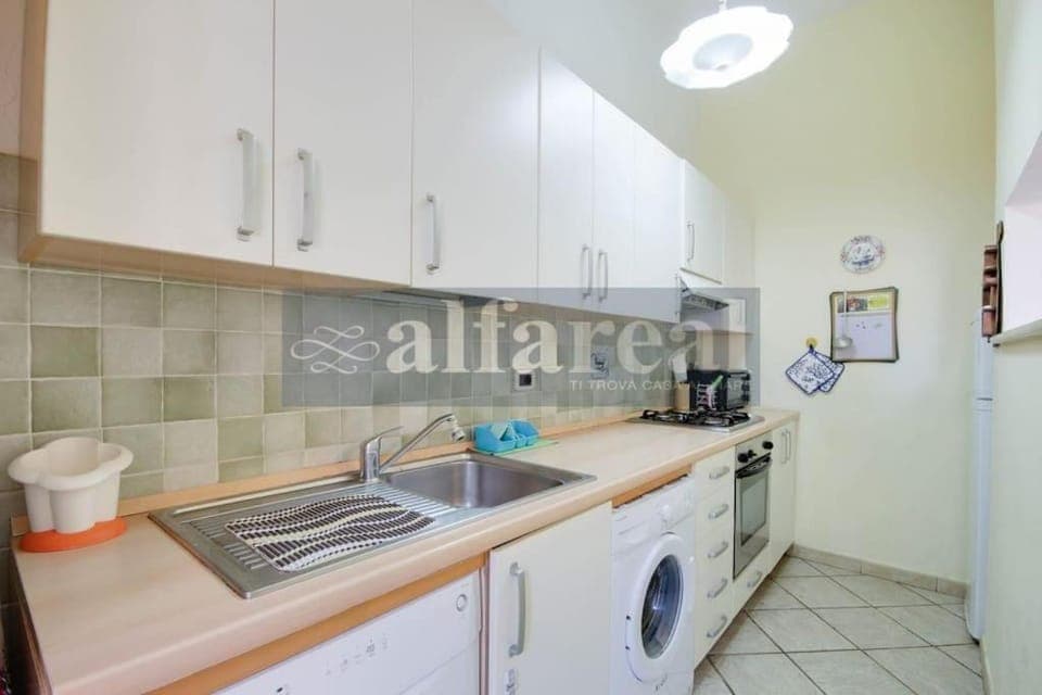 Kitchen or kitchenette, dishwasher, pet friendly, washing machine