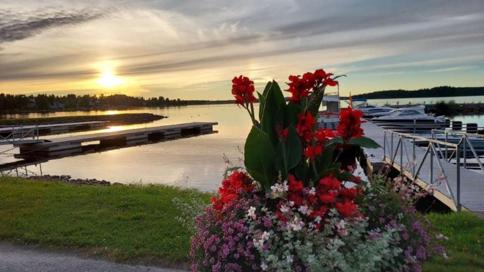 Neighbourhood, Natural landscape