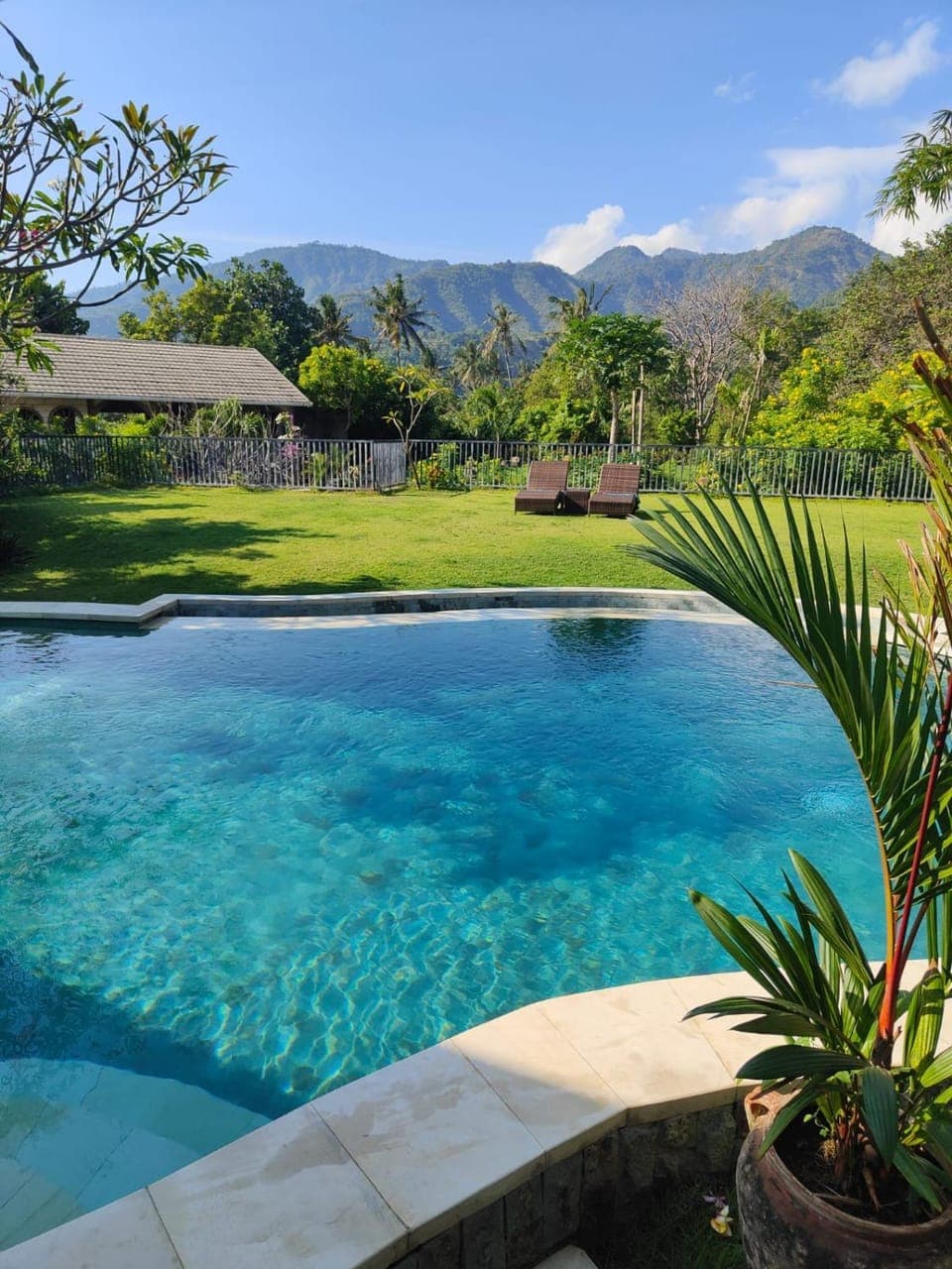 Garden, View (from property/room), Swimming pool