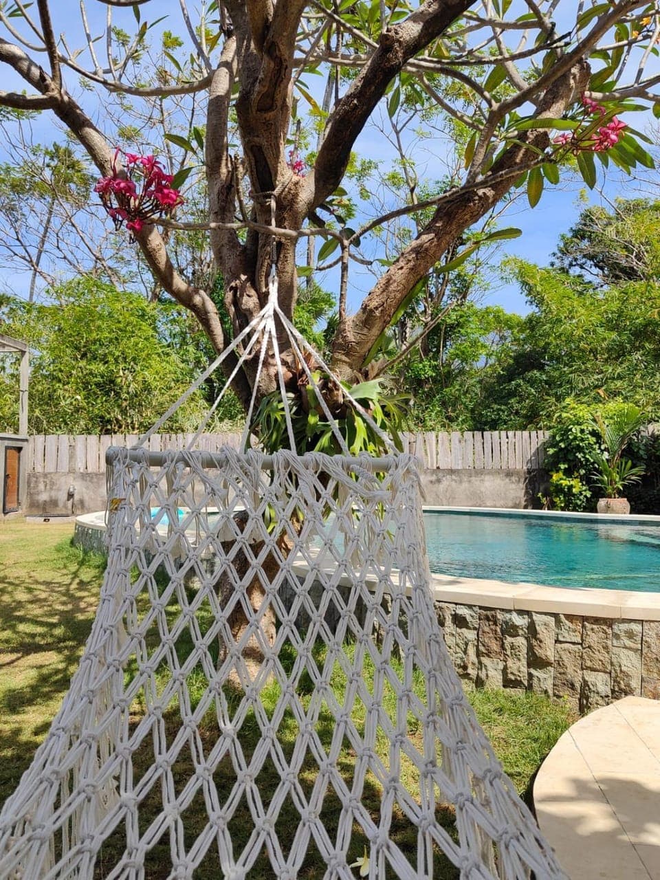 Garden, Swimming pool