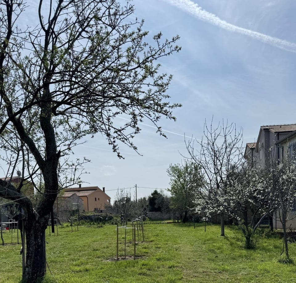 Natural landscape, Garden, Garden view