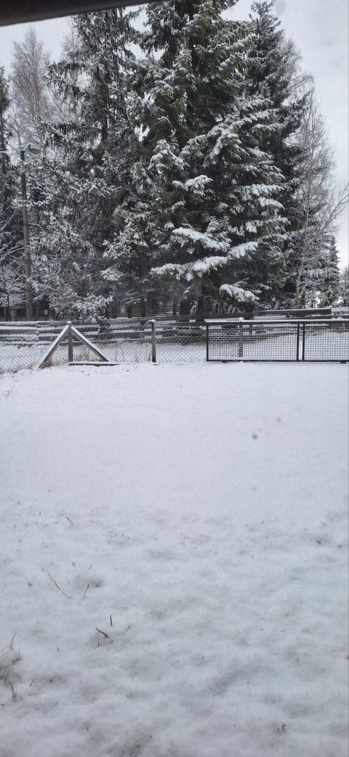 Natural landscape, Winter, Garden view