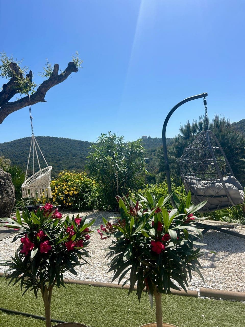 View (from property/room)