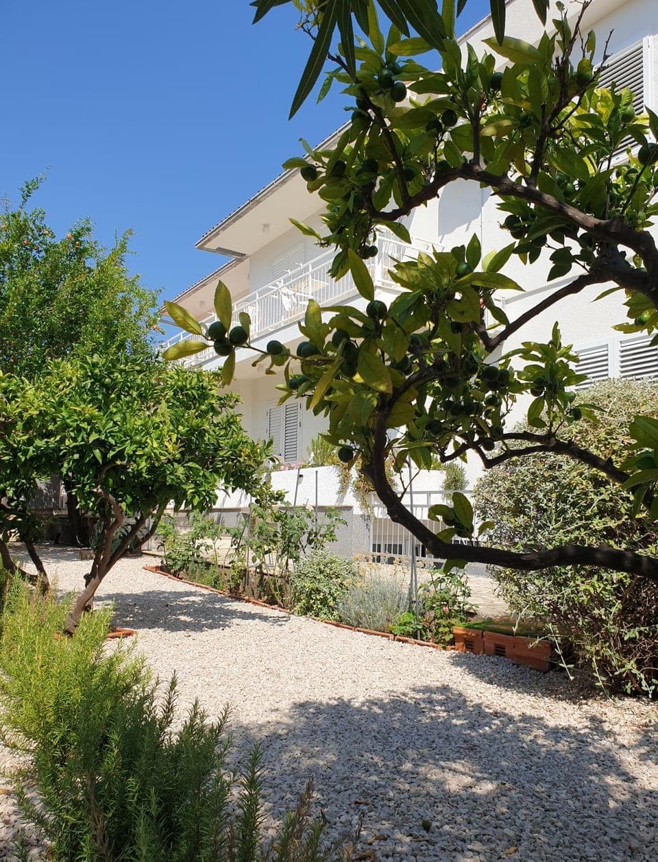 Property building, Garden