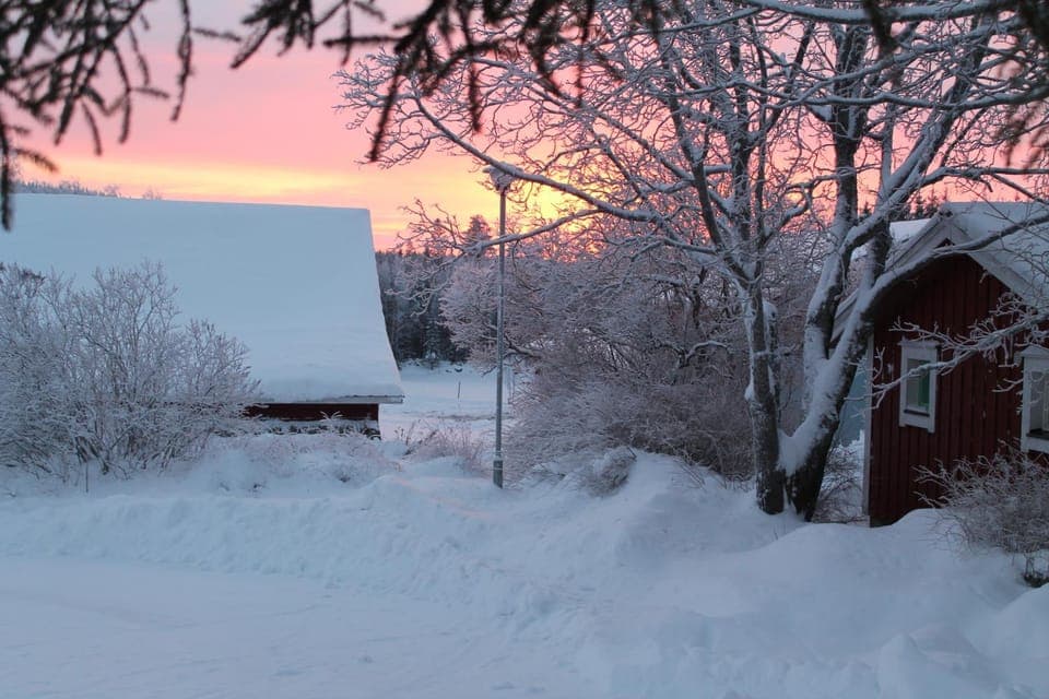 Natural landscape, Winter