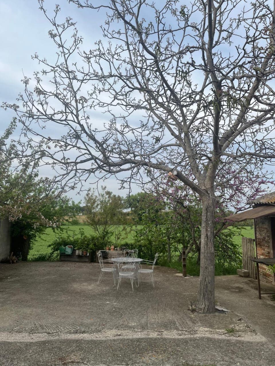 Patio, Inner courtyard view