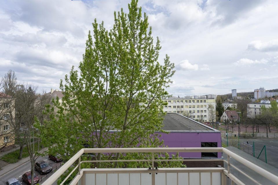 Spring, Day, Neighbourhood, Street view