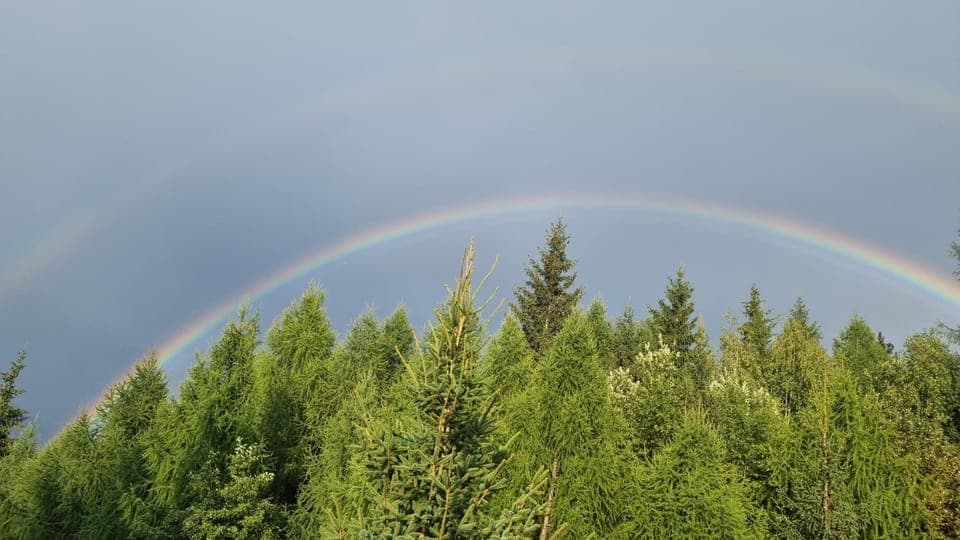 City view, Mountain view, Mountain view