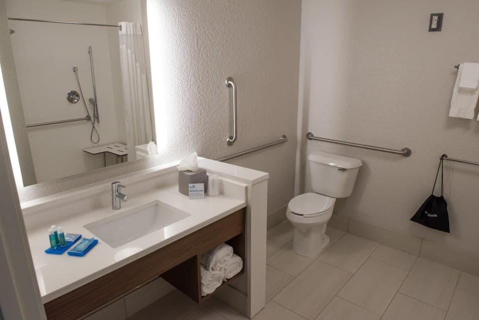 Bathroom, Facility for disabled guests