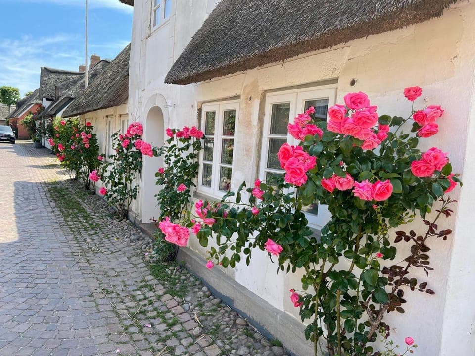 Property building, Spring, Street view