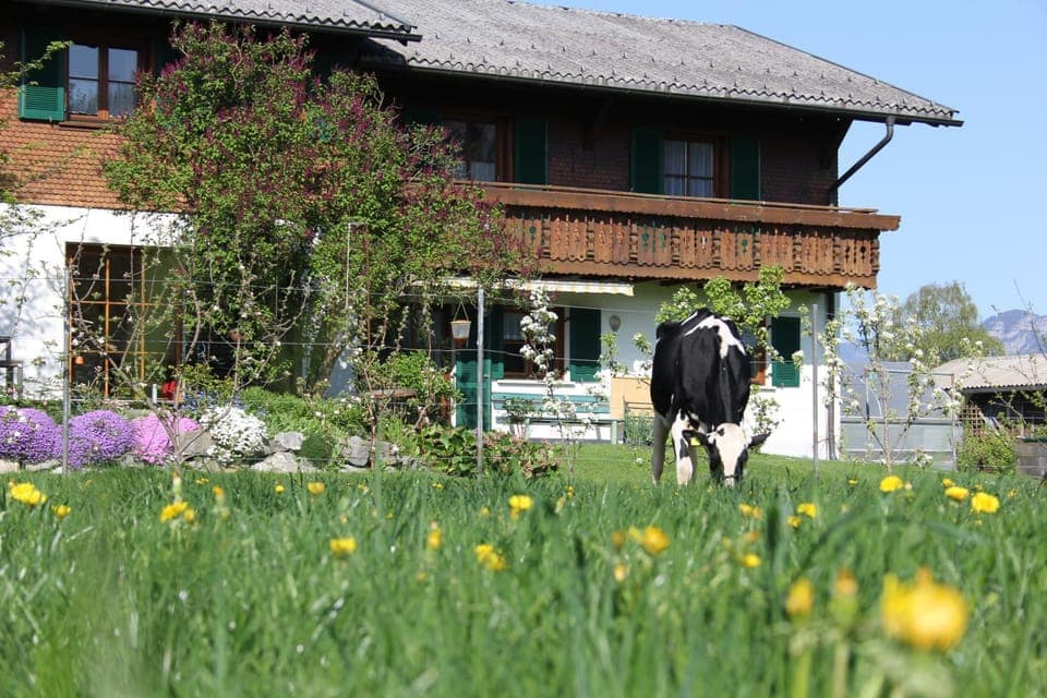 View (from property/room)