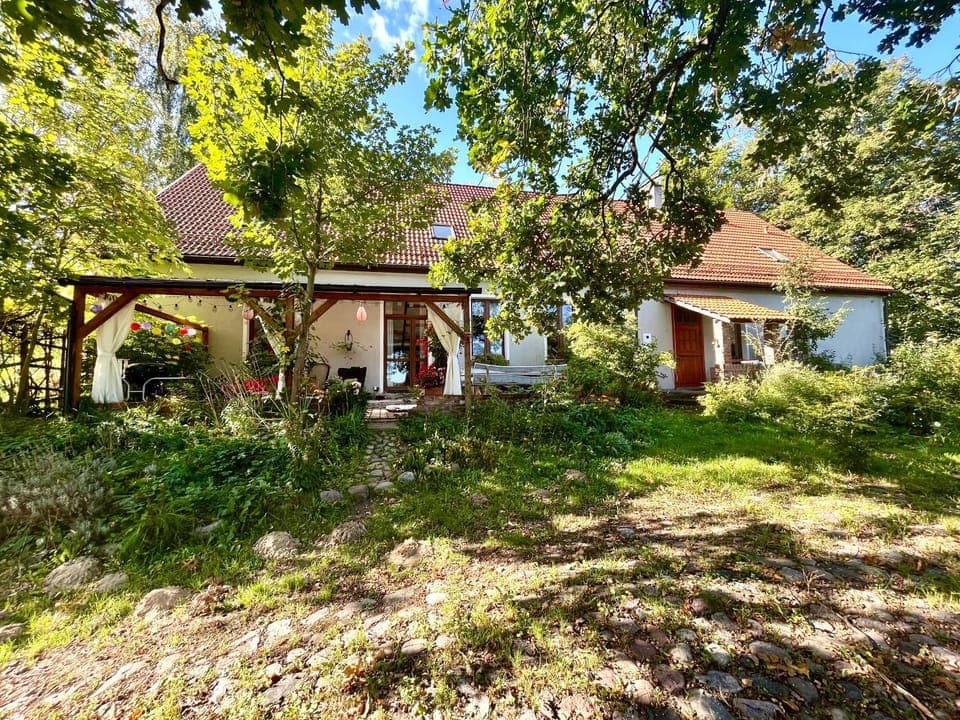 Property building, Garden, Garden view