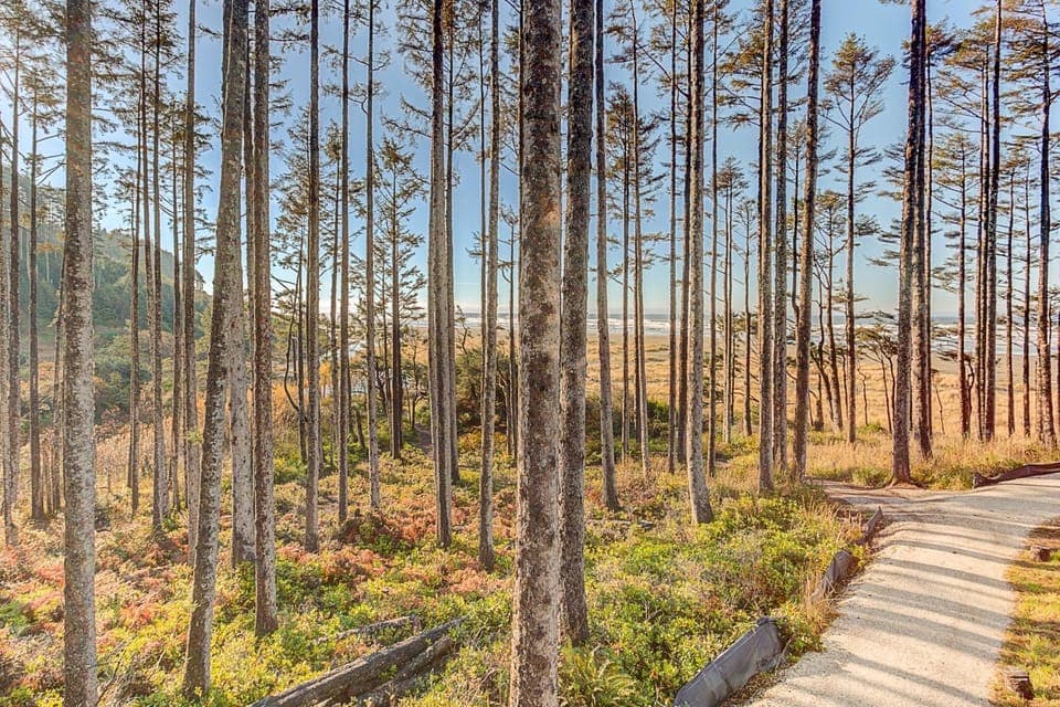 Natural landscape, View (from property/room)