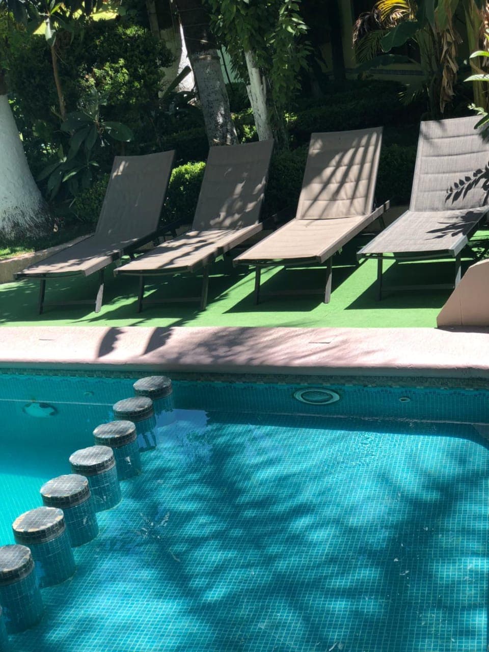 Garden, Swimming pool, Swimming pool