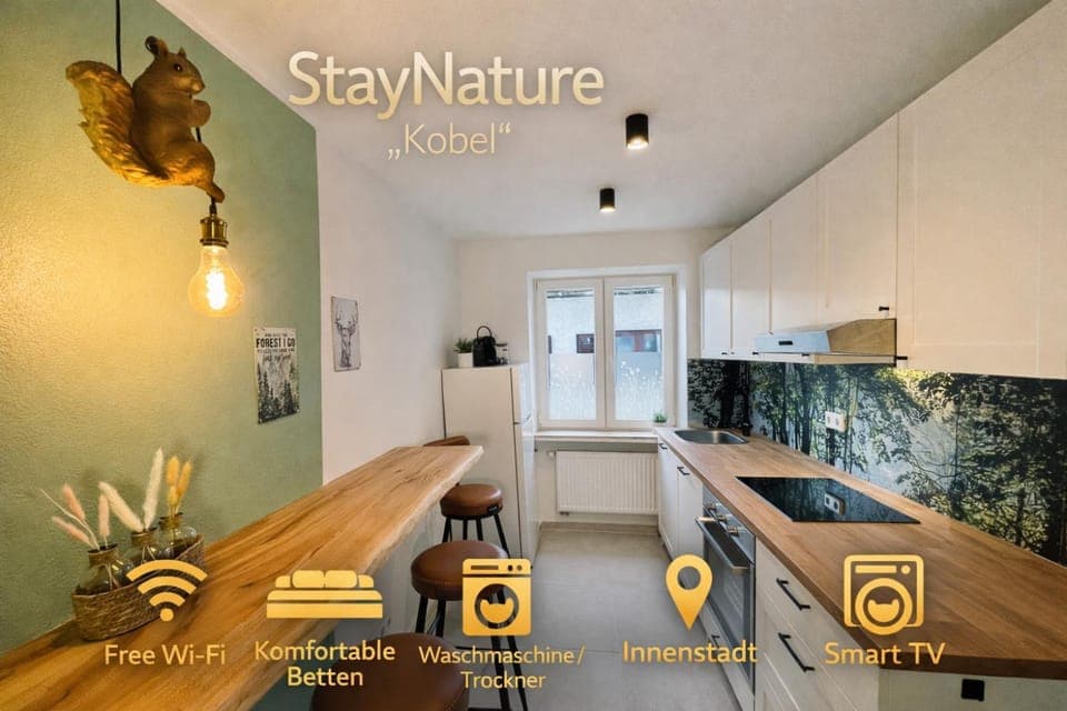 Kitchen or kitchenette, stove, stove, kitchen, kitchen