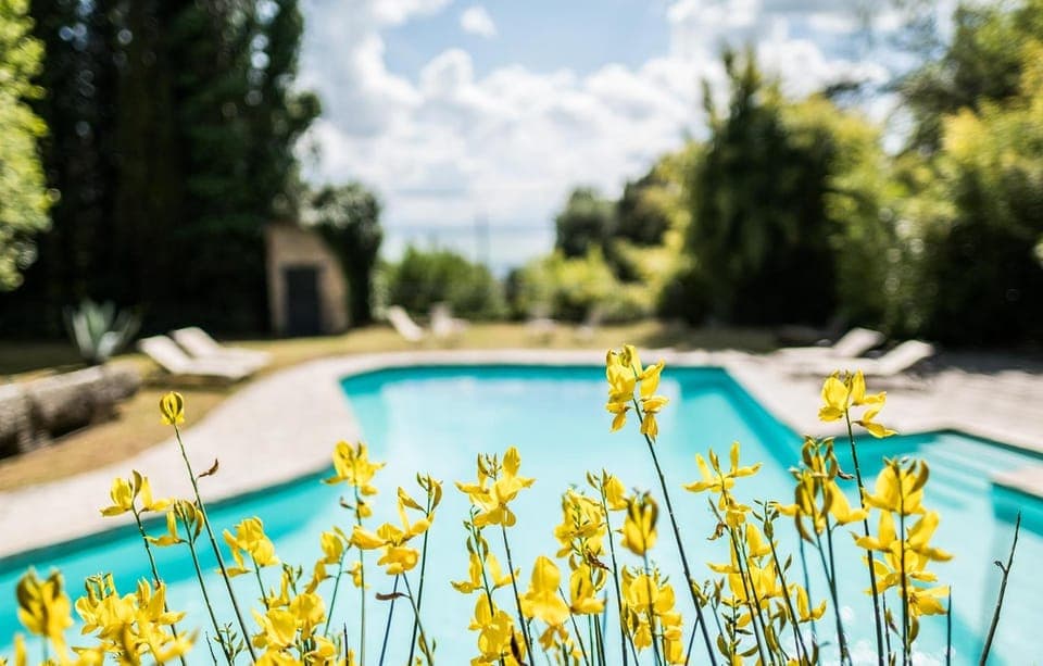 Garden, Swimming pool