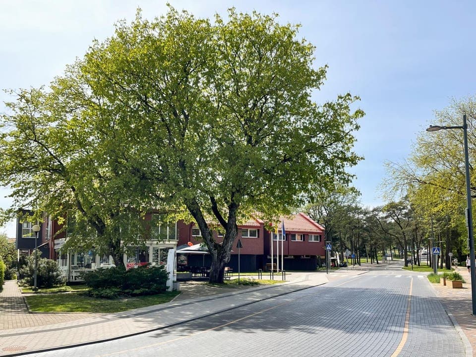 Property building, Street view