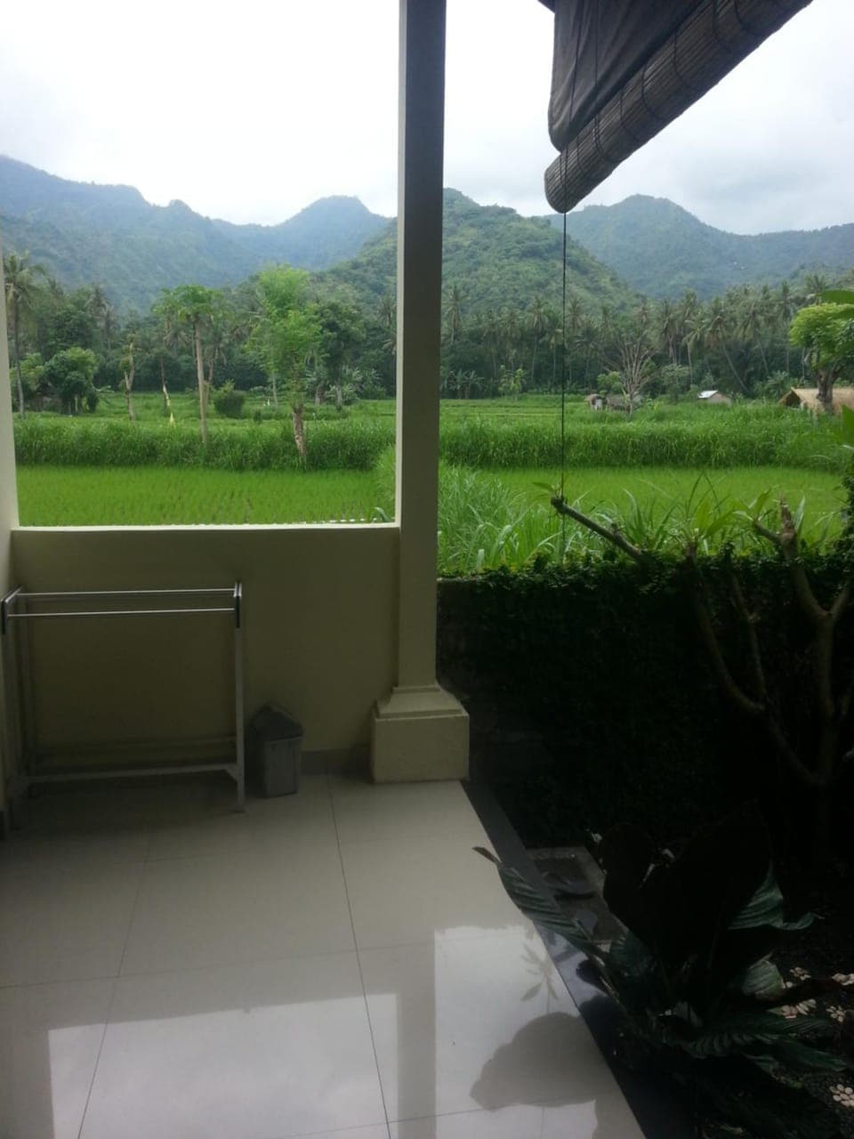 Property view