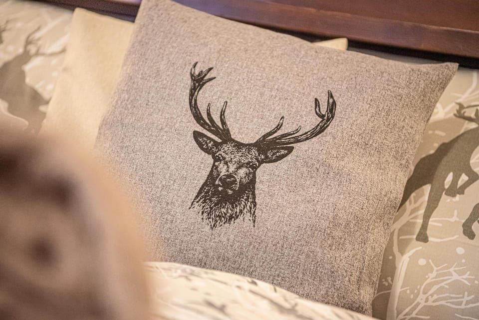 Restaurant/places to eat, Photo of the whole room