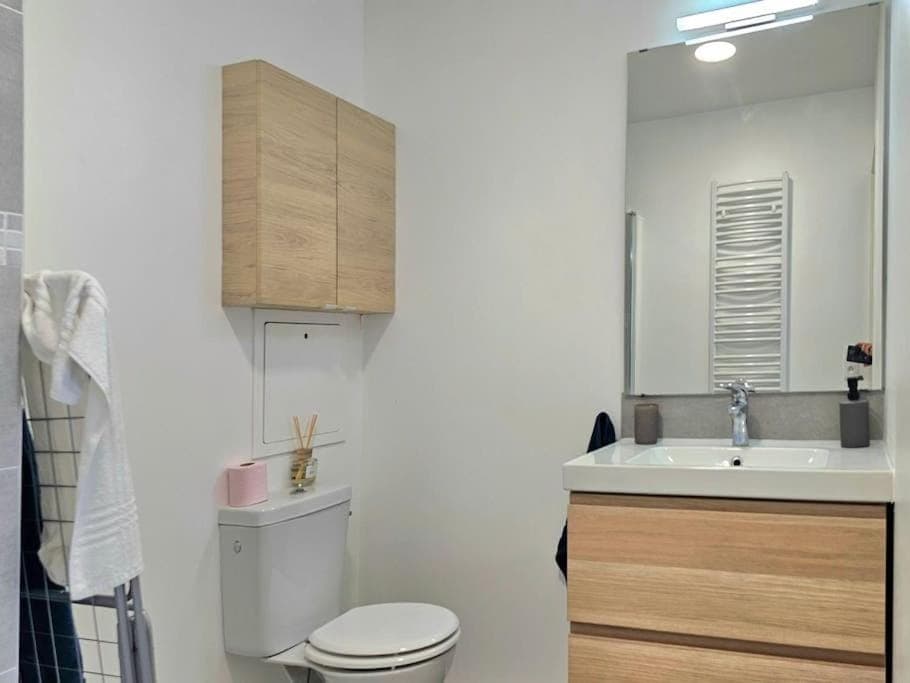 Toilet, Bathroom, towels