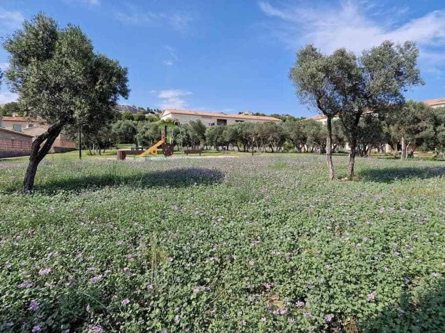 Natural landscape, Children play ground, Garden