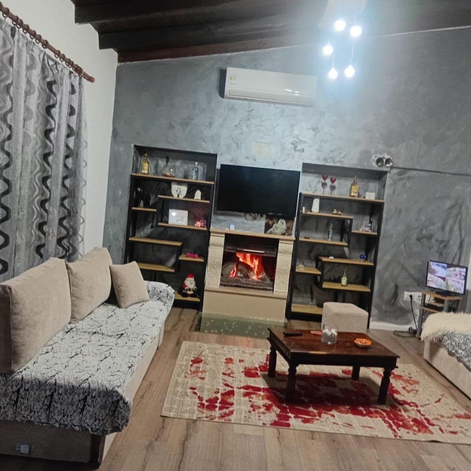 Activities, TV and multimedia, View (from property/room), Decorative detail, Seating area, fireplace, fireplace, VIP, air conditioner, air conditioner