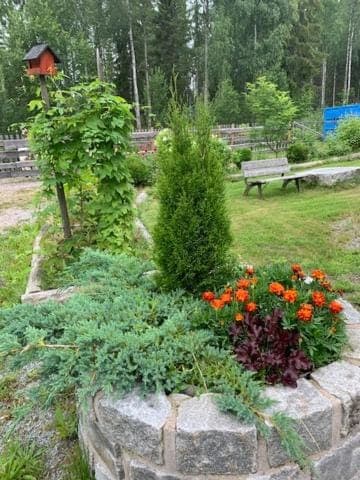 Garden, Garden view, Garden view