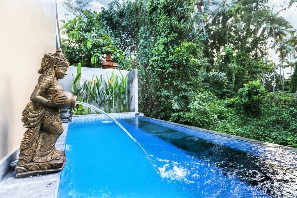 Day, Natural landscape, Pool view, Swimming pool