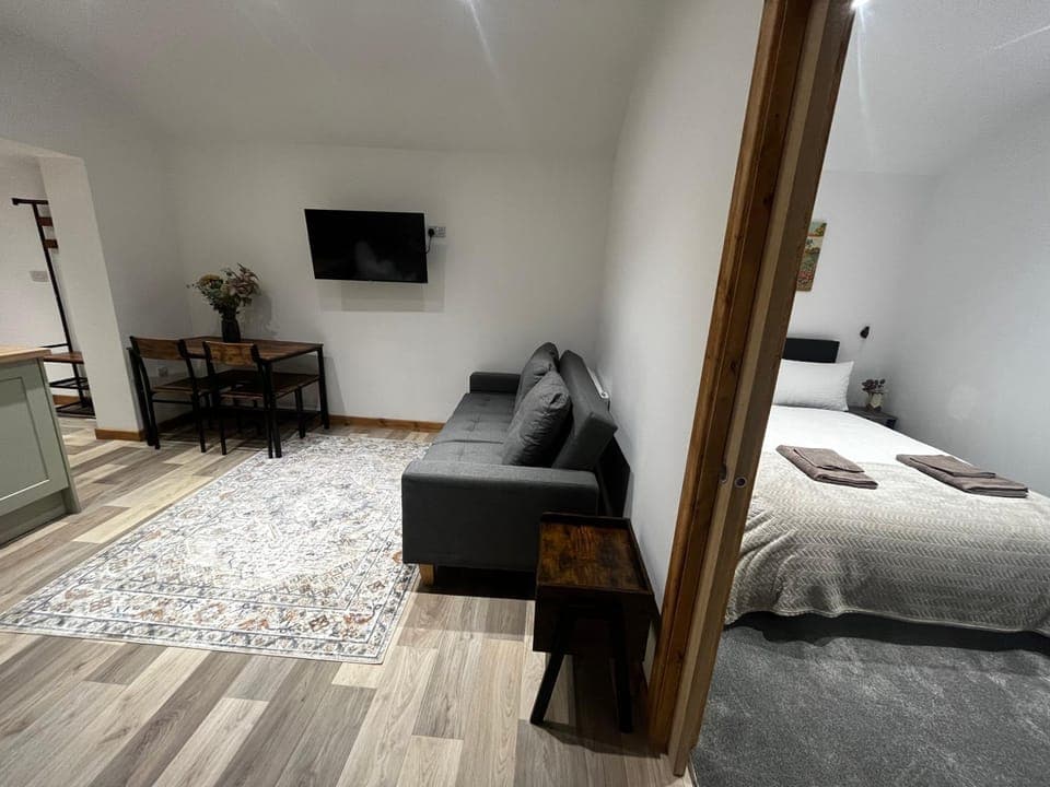 Bed, TV and multimedia, Living room, Photo of the whole room, Seating area, Bedroom