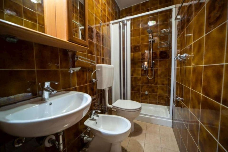 Shower, Toilet, Bathroom, bidet