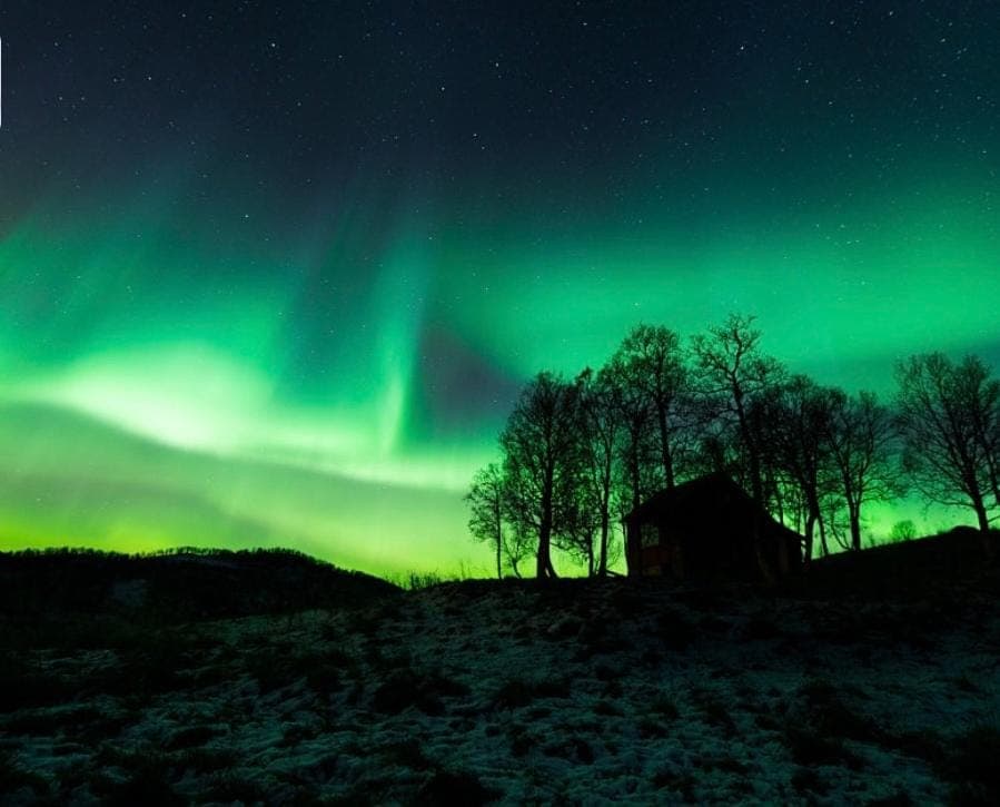 Harstad, all seasons Apartment in Nordland, Norway