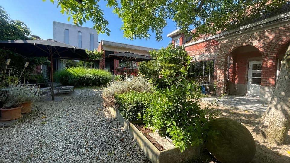 Garden, Garden, Garden view, Garden view