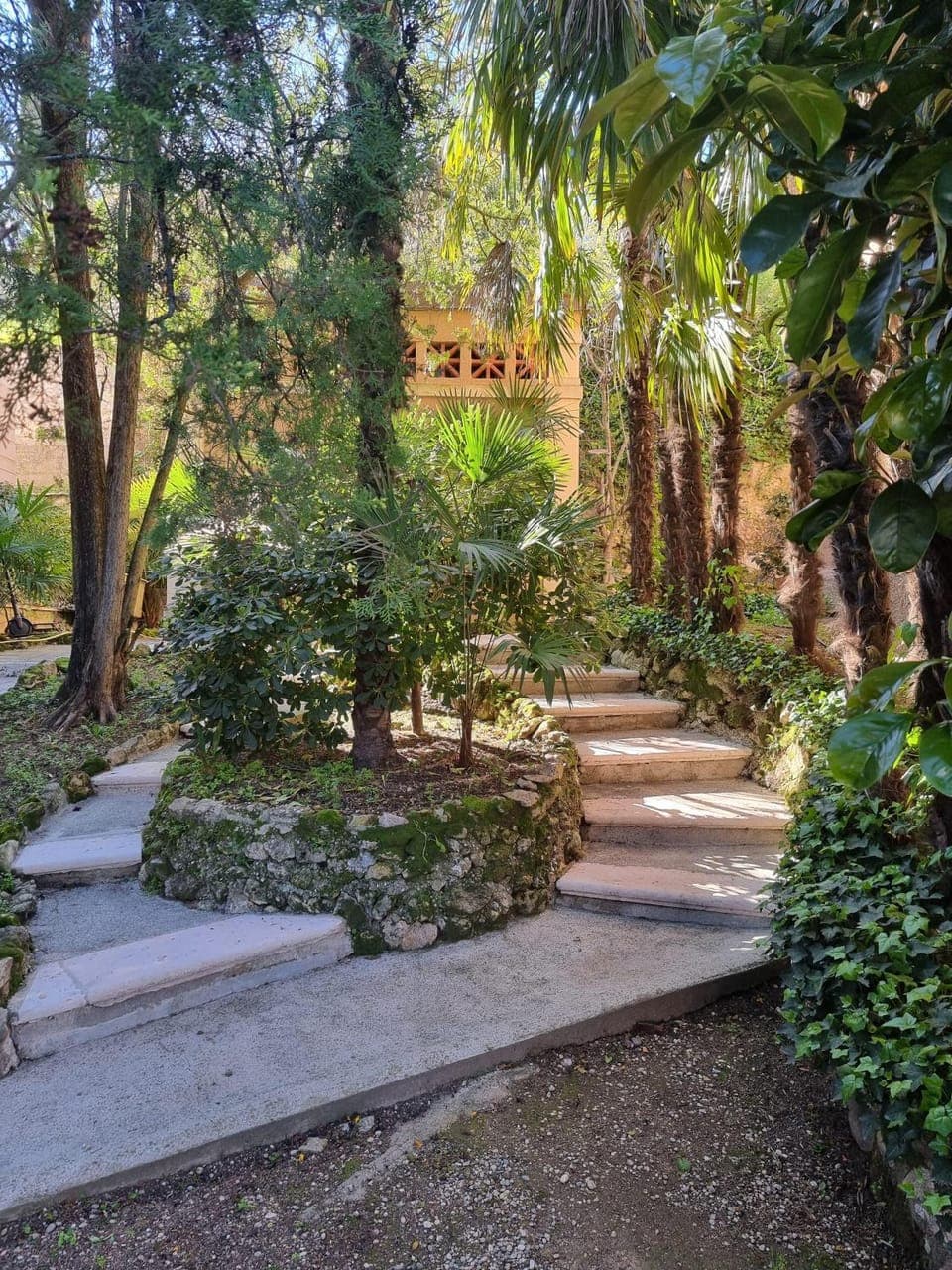 Natural landscape, Garden, Garden, Garden view