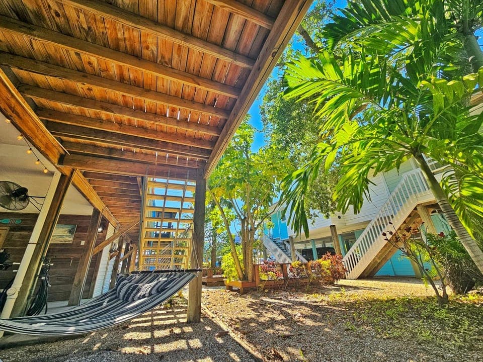 Patio, Natural landscape, sunbed