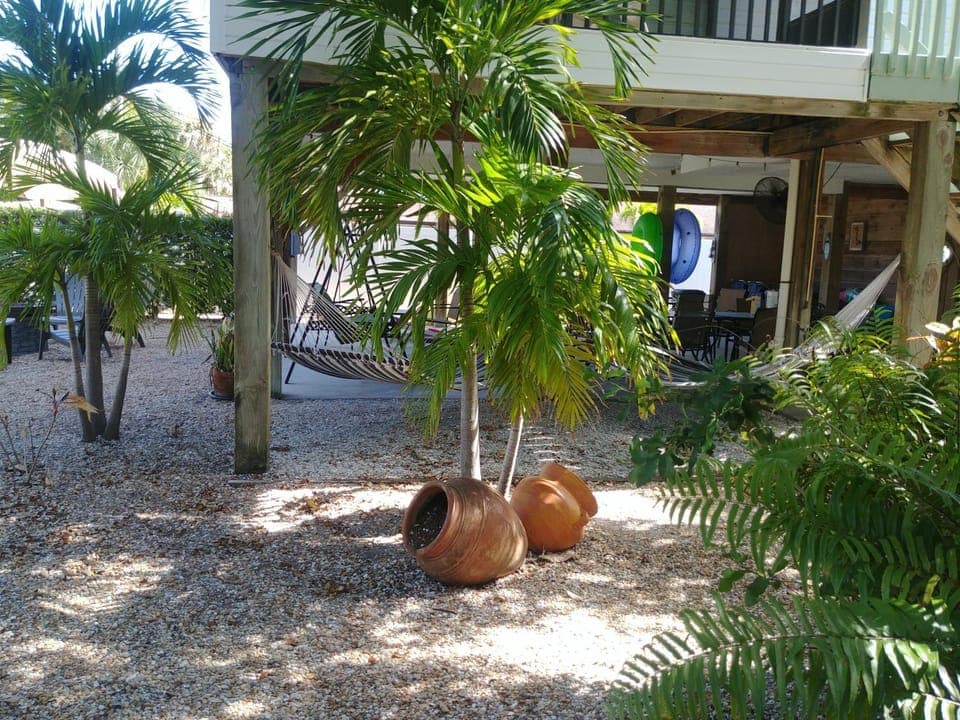Garden view