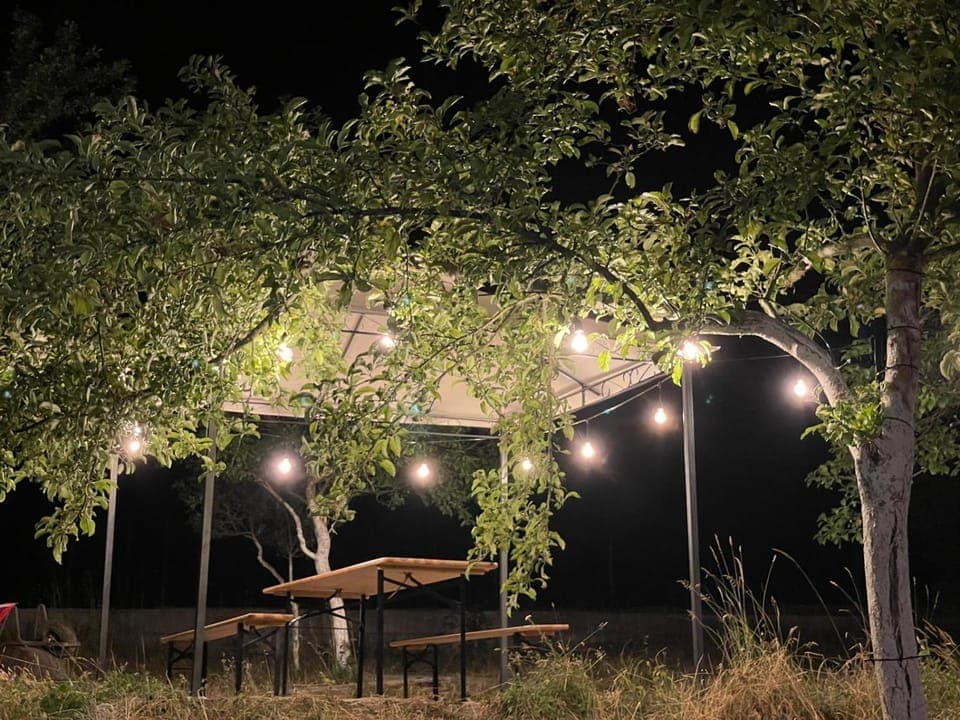 Natural landscape, Garden, Garden view