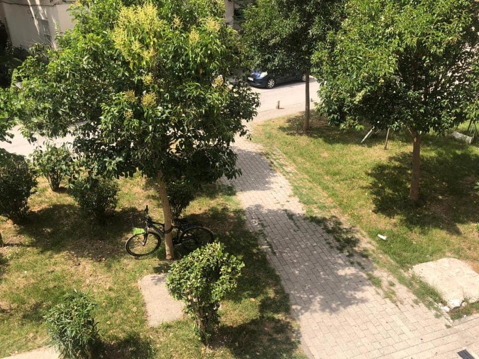 Day, Garden view, Street view